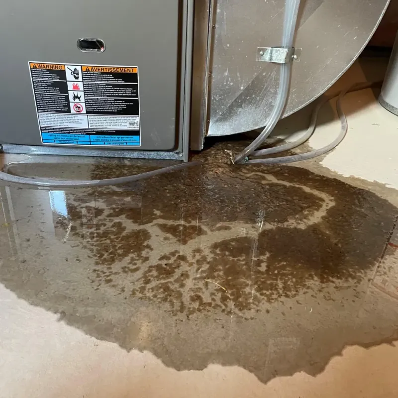 Appliance Leak Cleanup in Greenville, KY