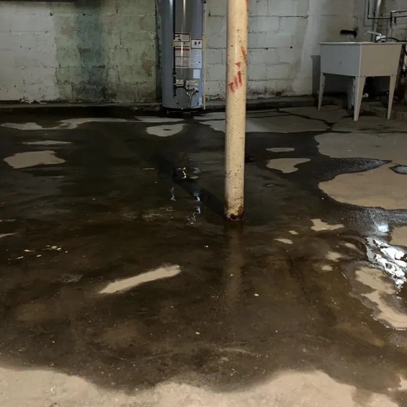 Emergency Water Extraction And Removal in Greenville, KY